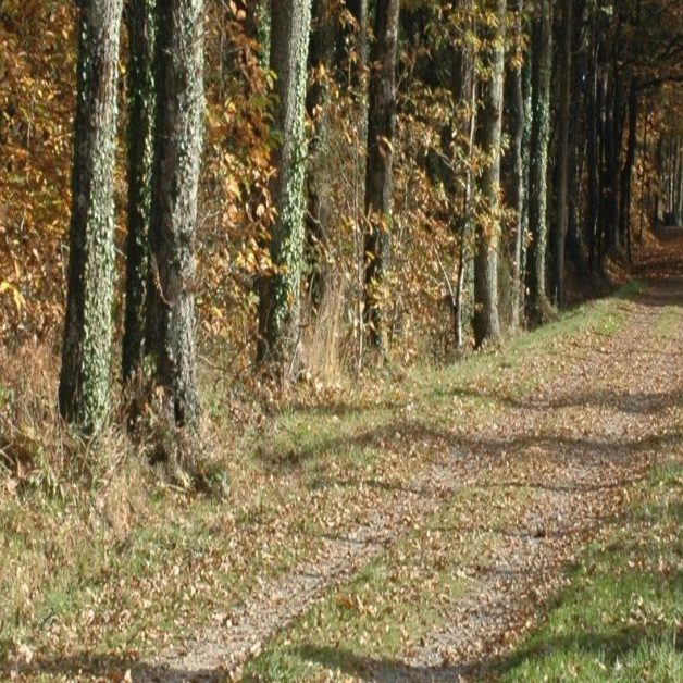 Voie verte Ambon Damgan